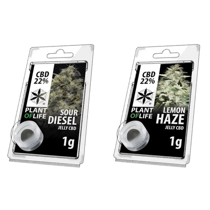 Novus Fumus Jelly 22% CBD - 1g