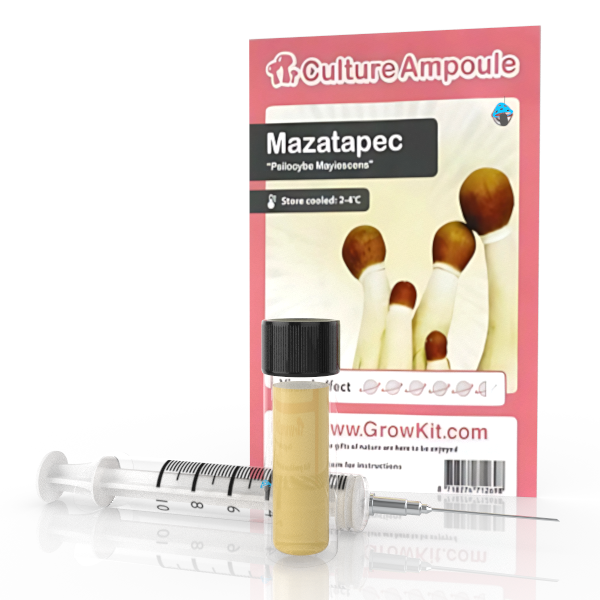 Novus Fumus Mazatapec – Culture Ampoule Set