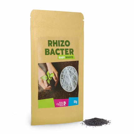 Novus Fumus Royal Easy Roots – Rhizobacter 50 gr