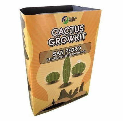 Novus Fumus San Pedro Pachanoi - Cactus Kweekset