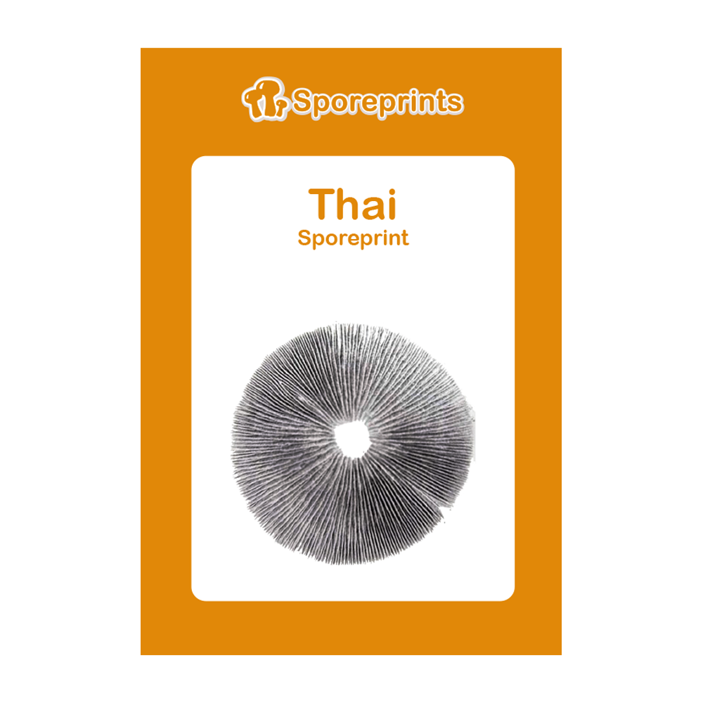 Thai