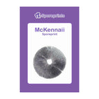 McKennaii