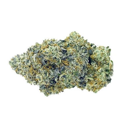 Novus Fumus Wedding Crasher gefeminiseerd 5 zaden – CC