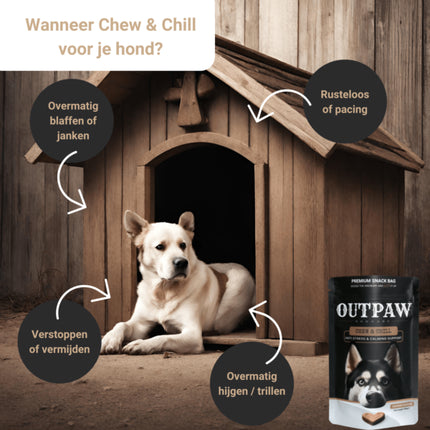 Outpaw Chew & Chill