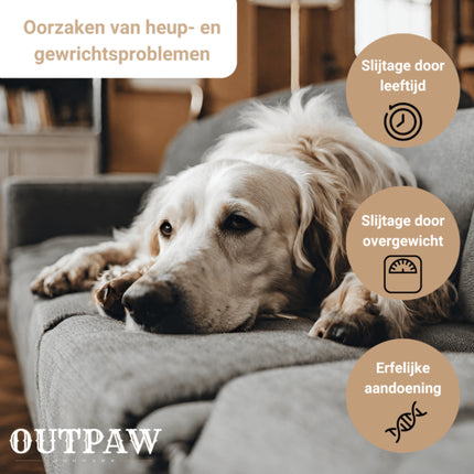 Outpaw Chew & Comfort