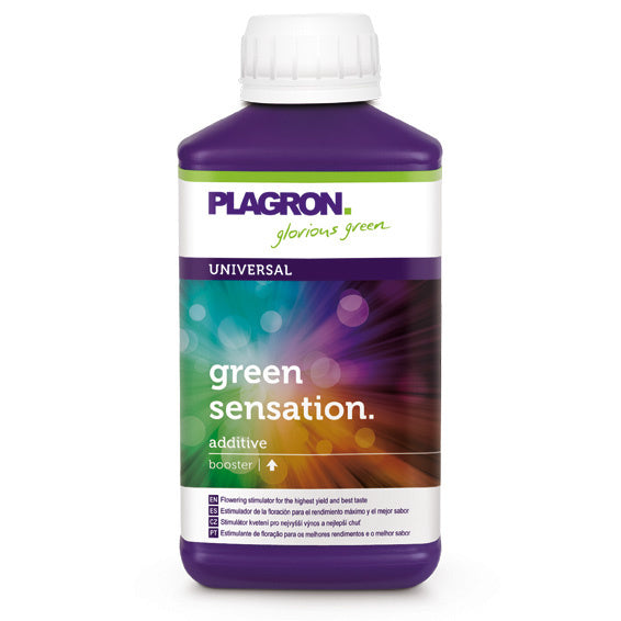 Plagron Green Sensation
