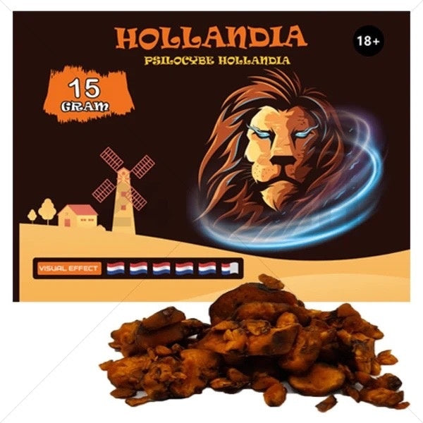 Royal Magic Truffels Hollandia - 15g