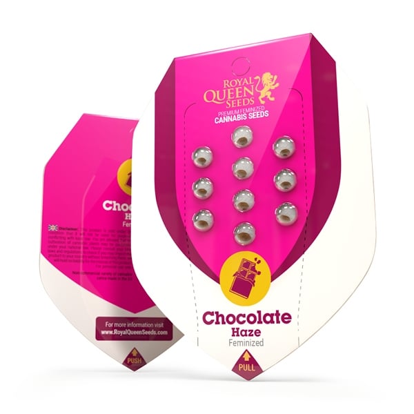 Royal Queen Seeds Chocolate Haze (Royal Queen Seeds)