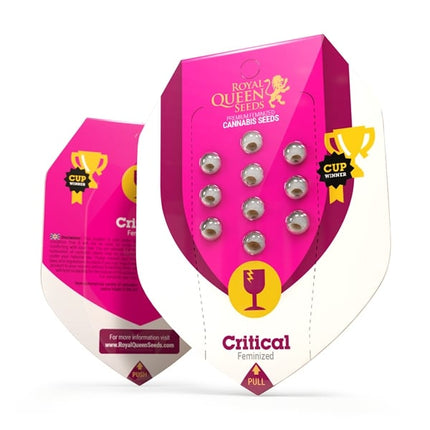 Royal Queen Seeds Critical (Royal Queen Seeds)