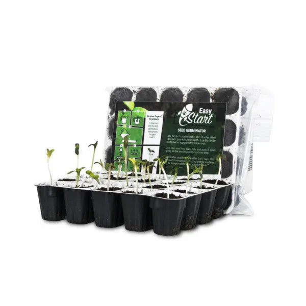 Royal Queen Seeds Easy Start