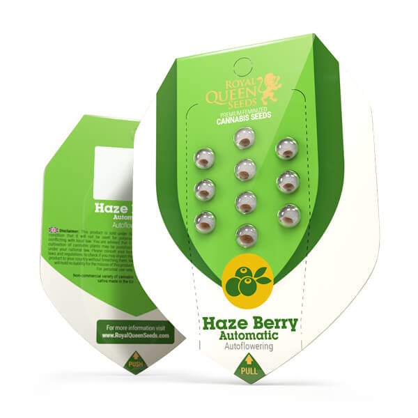 Royal Queen Seeds Haze Berry Auto (Royal Queen Seeds)
