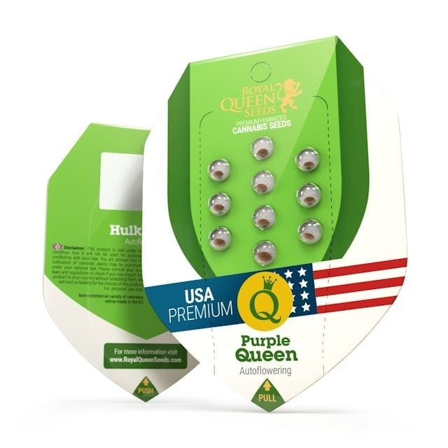 Royal Queen Seeds Pink Runtz Auto (Royal Queen Seeds)