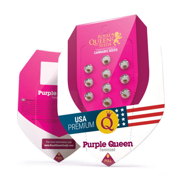 Royal Queen Seeds Purple Queen (Royal Queen Seeds)