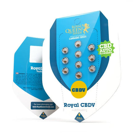 Royal Queen Seeds Royal CBDV Auto (Royal Queen Seeds)