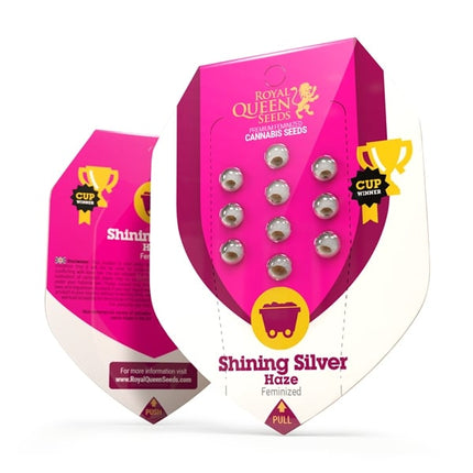 Royal Queen Seeds Shining Silver Haze (Royal Queen Seeds)