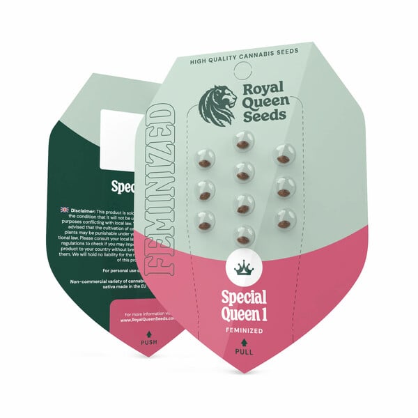 Royal Queen Seeds Special Queen #1 (Royal Queen Seeds)