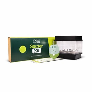 Royal Queen Seeds Starterskit Autoflowering (Royal Queen Seeds)