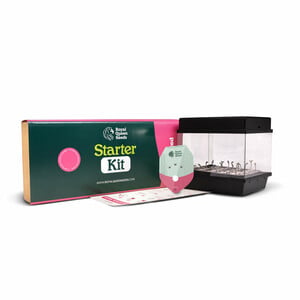 Royal Queen Seeds Starterskit Feminized (Royal Queen Seeds)