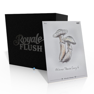 Royale Flush Albino Penis Envy 6 Growkit - 1200cc