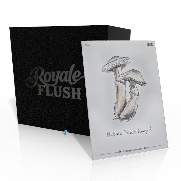 Royale Flush Albino Penis Envy 6 Growkit - 1200cc