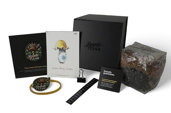 Royale Flush Golden Bluey Vuitton Growkit - 1200cc