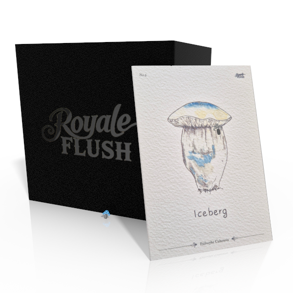 Royale Flush Iceberg Growkit - 1200cc