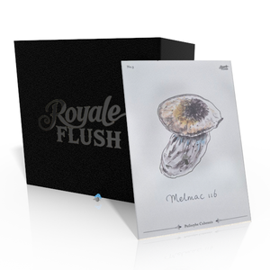 Royale Flush Melmac 116 Growkit - 1200CC