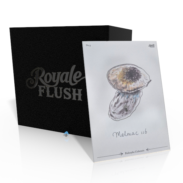Royale Flush Melmac 116 Growkit - 1200CC
