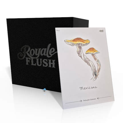 Royale Flush Mexicana Growkit -1200cc