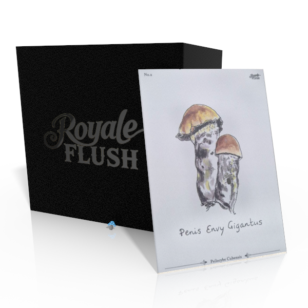 Royale Flush Penis Envy Giganticys Growkit - 1200CC