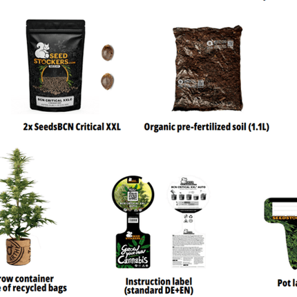 Seedstockers Mini Grow Kit - Autoflower (Seedstockers)