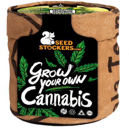 Seedstockers Mini Grow Kit - Autoflower (Seedstockers)