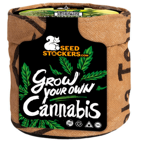 Seedstockers Mini Grow Kit - Autoflower