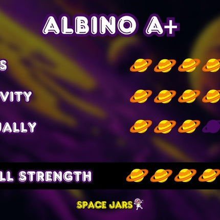 SpaceJars Albino A+ Broed