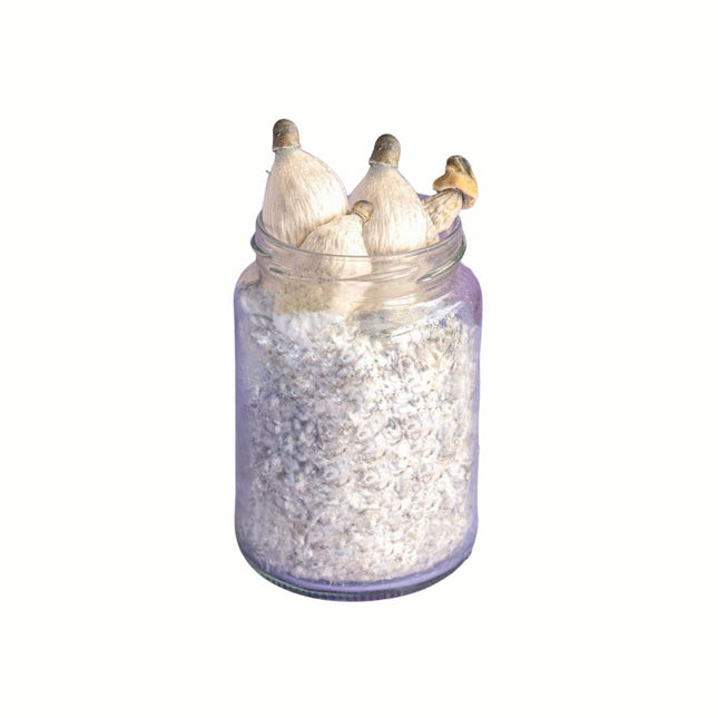 SpaceJars Melmac Monster Broed