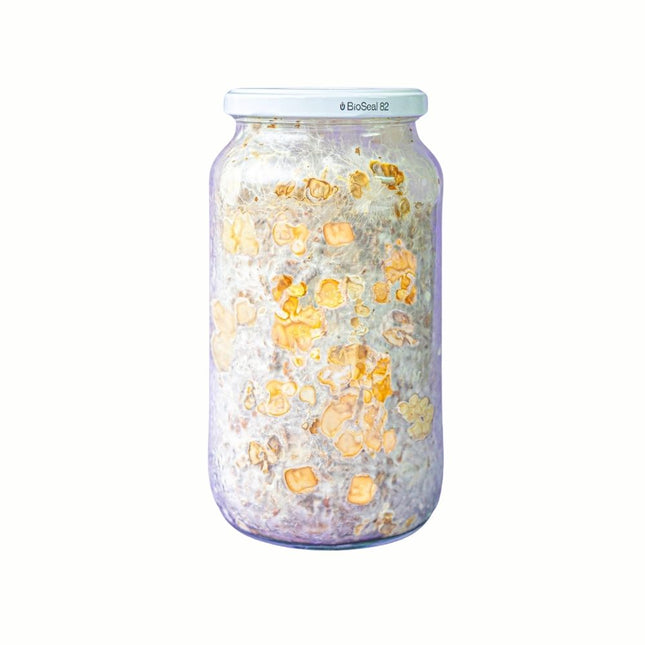 SpaceJars Mexicana - TruffleJars