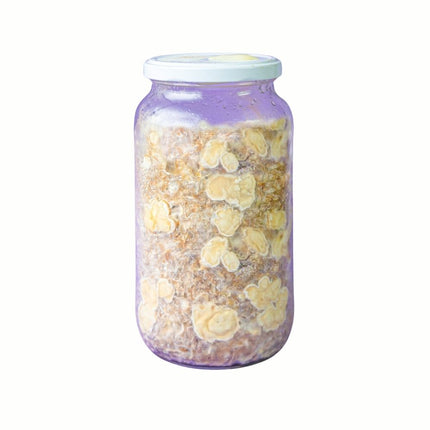 SpaceJars Tampanensis - TruffleJars