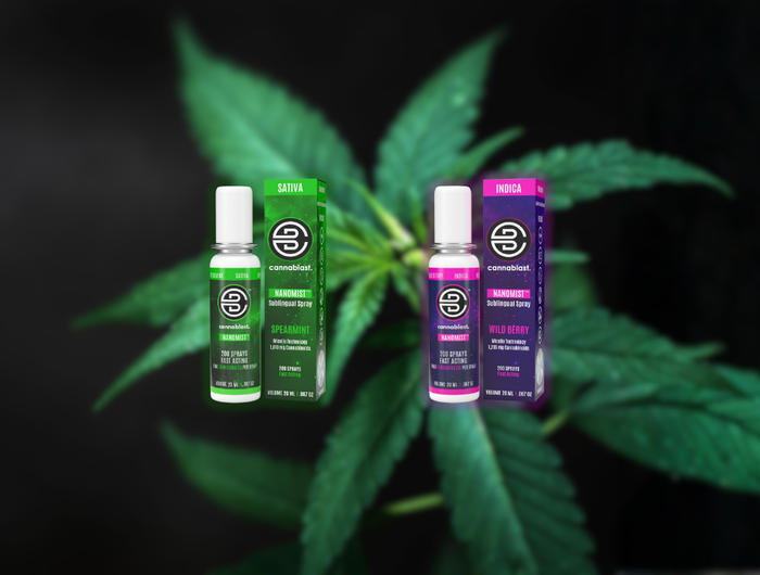 <h1>THC</h1><h1><strong>Mondspray</strong></h1>