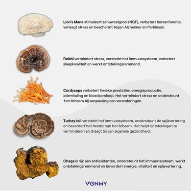 VGNMY Mushroom Gummies -  60 gummies