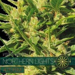 Vision Seeds Northern Lights – AutoFem
