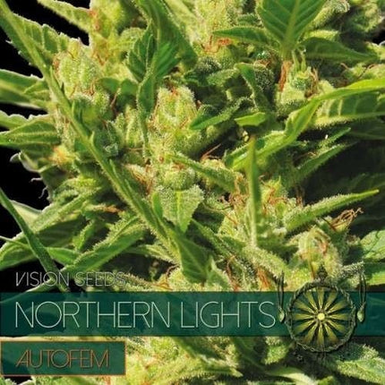 Vision Seeds Northern Lights – AutoFem