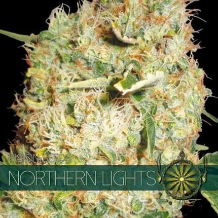 Vision Seeds Northern Lights