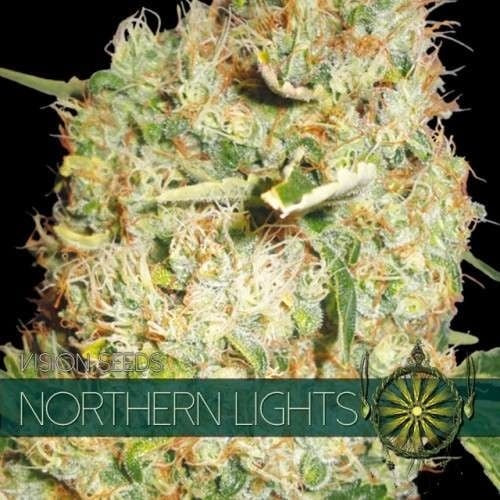 Vision Seeds Northern Lights