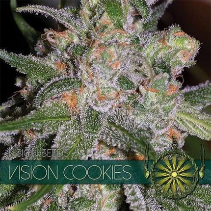 Vision Seeds Vision Cookies (Vision Seeds)