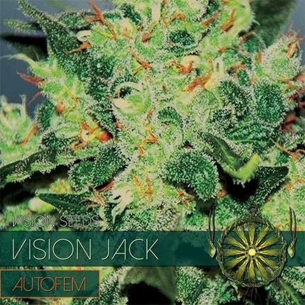 Vision Seeds Vision Jack – AutoFem